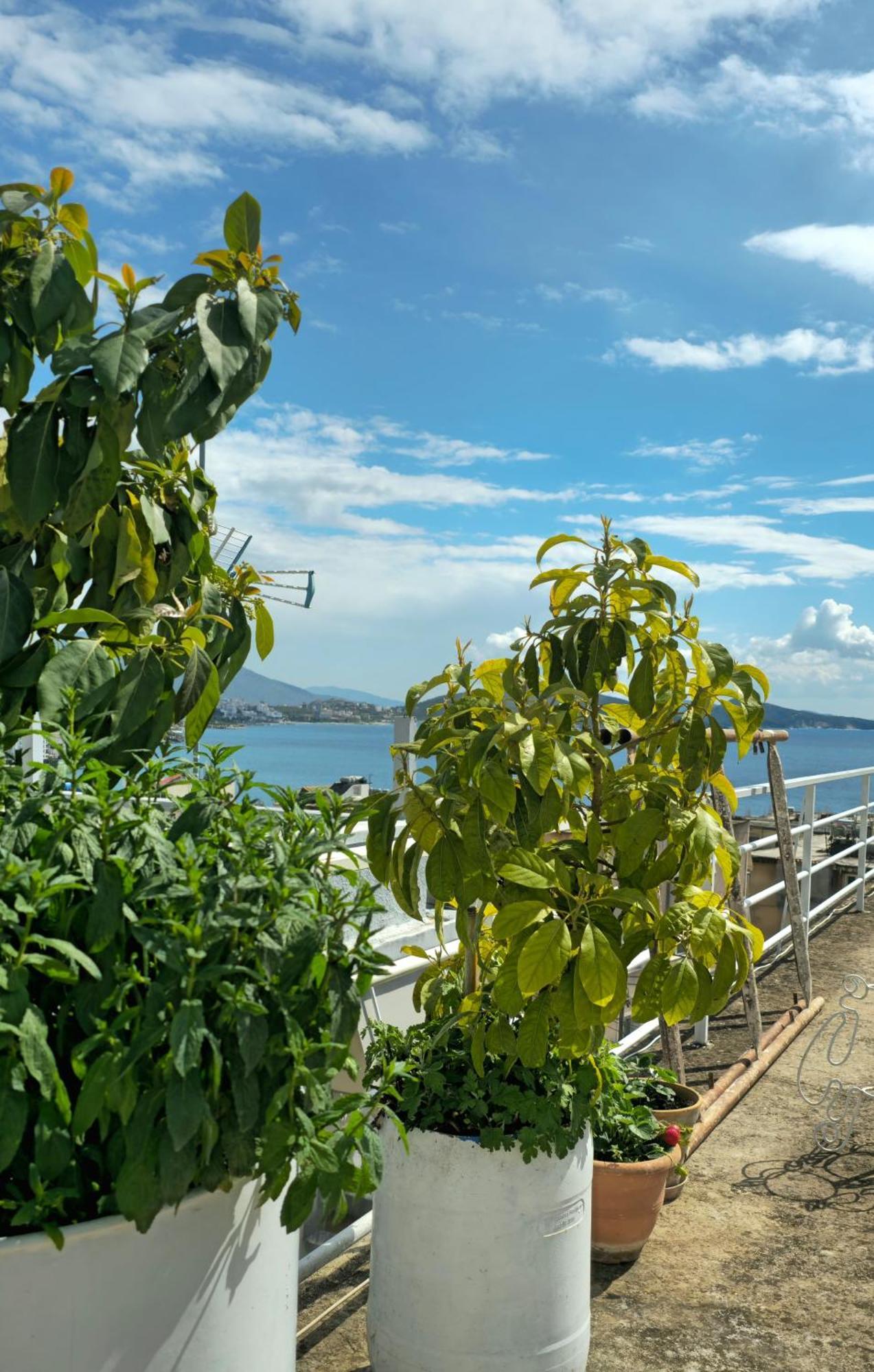 Joen Guesthouse Sarandë Buitenkant foto